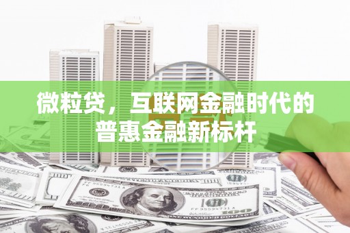 冕宁微粒贷，互联网金融时代的普惠金融新标杆