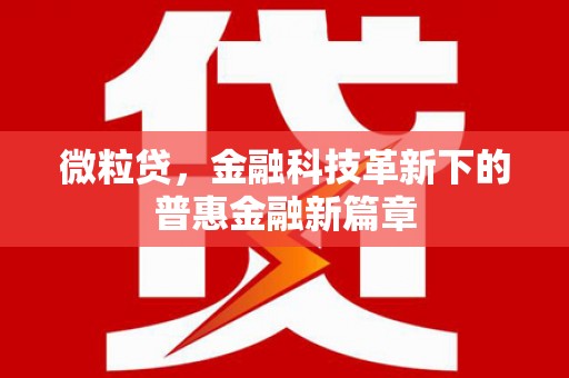 冕宁微粒贷，金融科技革新下的普惠金融新篇章