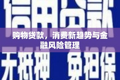 冕宁购物贷款，消费新趋势与金融风险管理