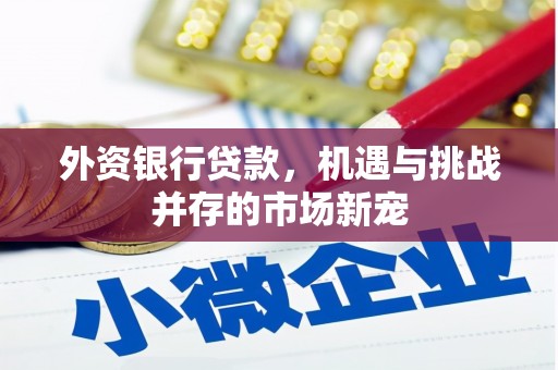 冕宁外资银行贷款，机遇与挑战并存的市场新宠