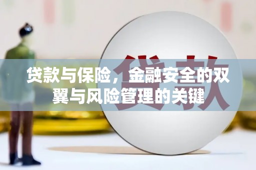 冕宁贷款与保险，金融安全的双翼与风险管理的关键