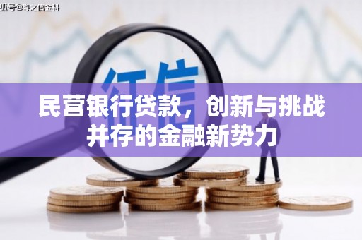 冕宁民营银行贷款，创新与挑战并存的金融新势力