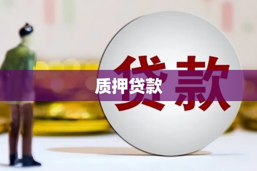 冕宁质押贷款