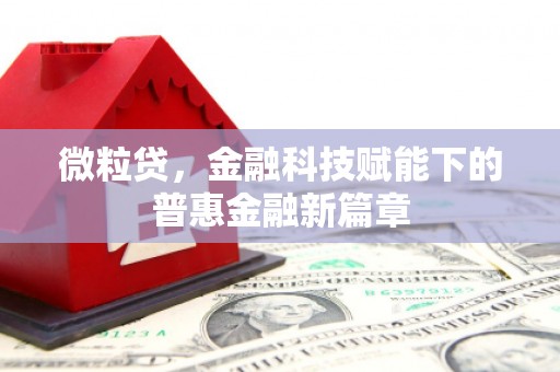 冕宁微粒贷，金融科技赋能下的普惠金融新篇章