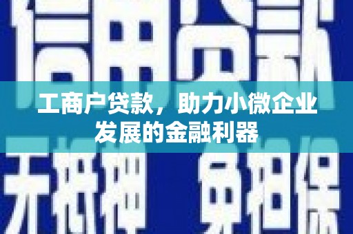 冕宁工商户贷款,助力小微企业发展的金融利器 冕宁工商户贷款,助力小微企业发展的金融利器