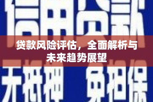 冕宁贷款风险评估，全面解析与未来趋势展望