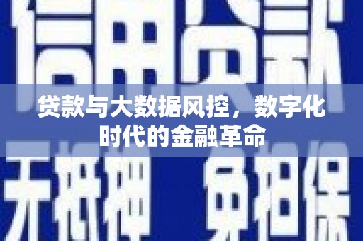 冕宁贷款与大数据风控，数字化时代的金融革命