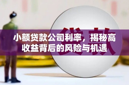 冕宁小额贷款公司利率，揭秘高收益背后的风险与机遇