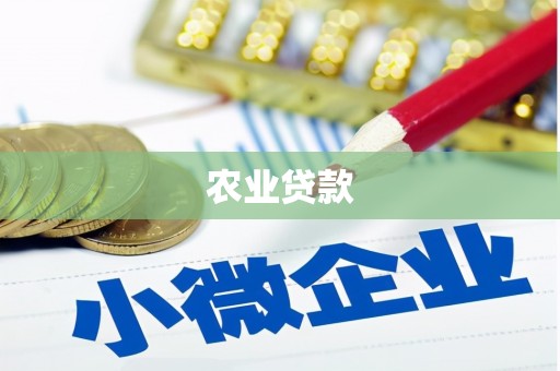 冕宁农业贷款
