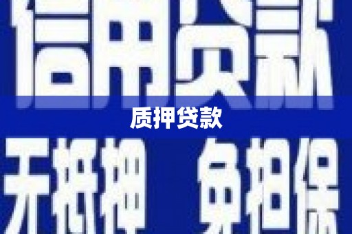冕宁质押贷款