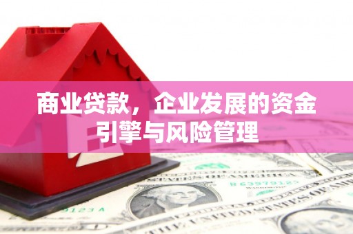 冕宁商业贷款，企业发展的资金引擎与风险管理