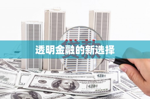 冕宁透明金融的新选择
