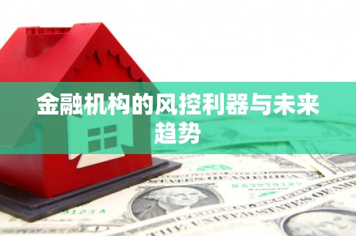 冕宁金融机构的风控利器与未来趋势