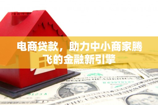 冕宁电商贷款，助力中小商家腾飞的金融新引擎