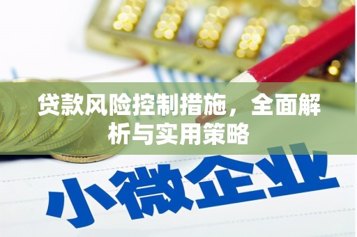 冕宁贷款风险控制措施，全面解析与实用策略