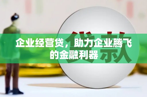 冕宁企业经营贷，助力企业腾飞的金融利器