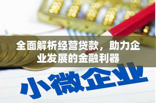 冕宁全面解析经营贷款，助力企业发展的金融利器