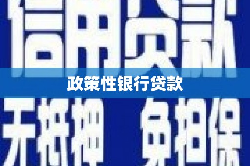 冕宁政策性银行贷款
