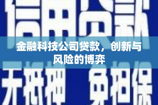 冕宁金融科技公司贷款，创新与风险的博弈