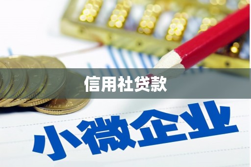 冕宁信用社贷款