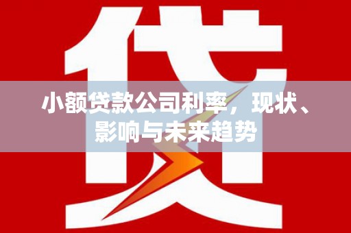 冕宁小额贷款公司利率，现状、影响与未来趋势