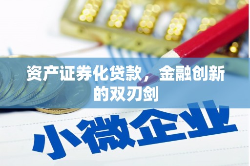 冕宁资产证券化贷款，金融创新的双刃剑