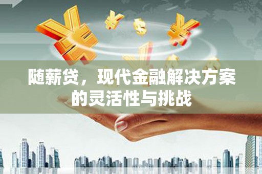 冕宁随薪贷，现代金融解决方案的灵活性与挑战