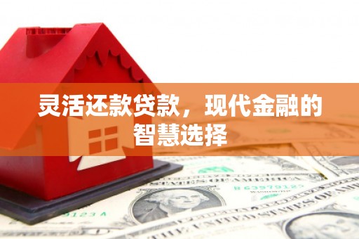 冕宁灵活还款贷款，现代金融的智慧选择