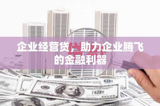 冕宁企业经营贷，助力企业腾飞的金融利器