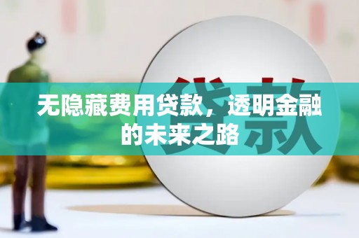 冕宁无隐藏费用贷款，透明金融的未来之路