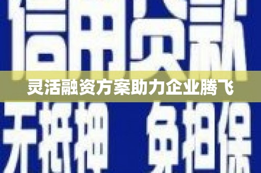 冕宁灵活融资方案助力企业腾飞