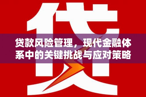 冕宁贷款风险管理，现代金融体系中的关键挑战与应对策略