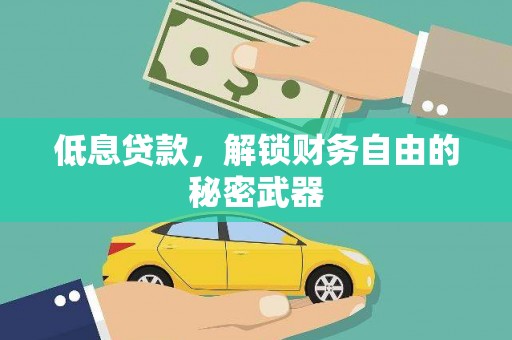 冕宁低息贷款，解锁财务自由的秘密武器