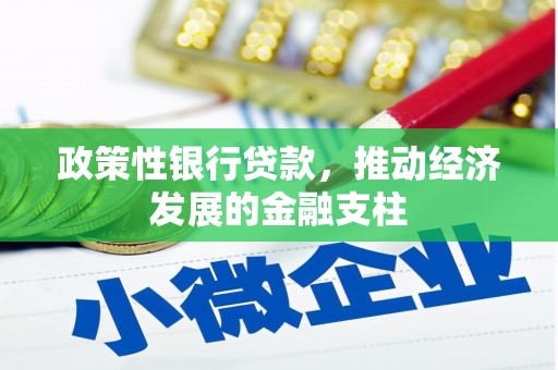 冕宁政策性银行贷款，推动经济发展的金融支柱