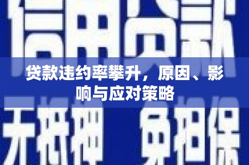冕宁贷款违约率攀升，原因、影响与应对策略