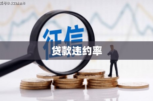 冕宁贷款违约率