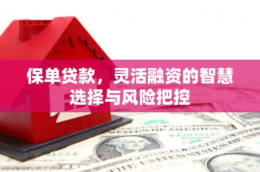冕宁保单贷款，灵活融资的智慧选择与风险把控
