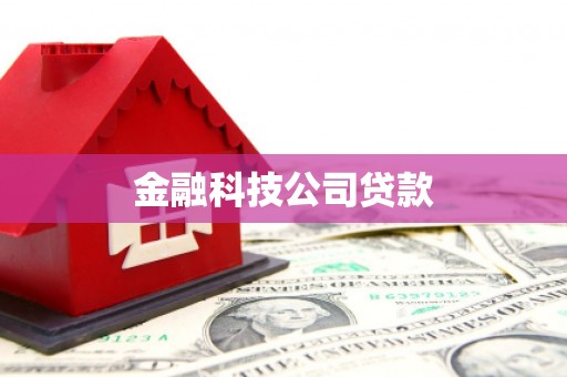 冕宁金融科技公司贷款