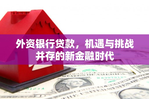冕宁外资银行贷款，机遇与挑战并存的新金融时代