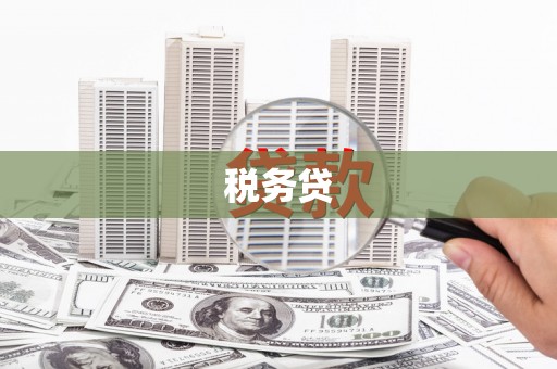 冕宁税务贷