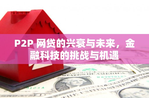 冕宁P2P 网贷的兴衰与未来，金融科技的挑战与机遇