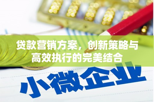 冕宁贷款营销方案，创新策略与高效执行的完美结合