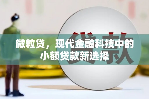 冕宁微粒贷，现代金融科技中的小额贷款新选择