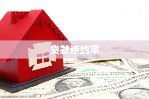 冕宁贷款违约率