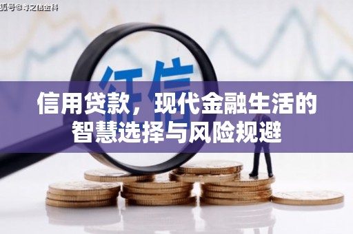 冕宁信用贷款，现代金融生活的智慧选择与风险规避