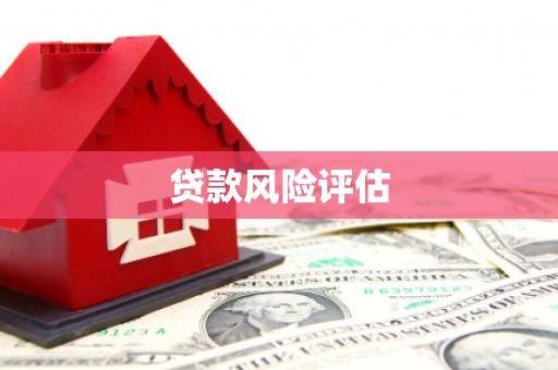 冕宁贷款风险评估