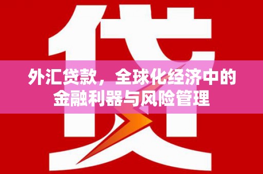 冕宁外汇贷款，全球化经济中的金融利器与风险管理