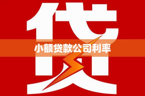 冕宁小额贷款公司利率