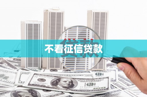 冕宁不看征信贷款