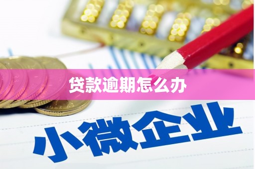 冕宁贷款逾期怎么办